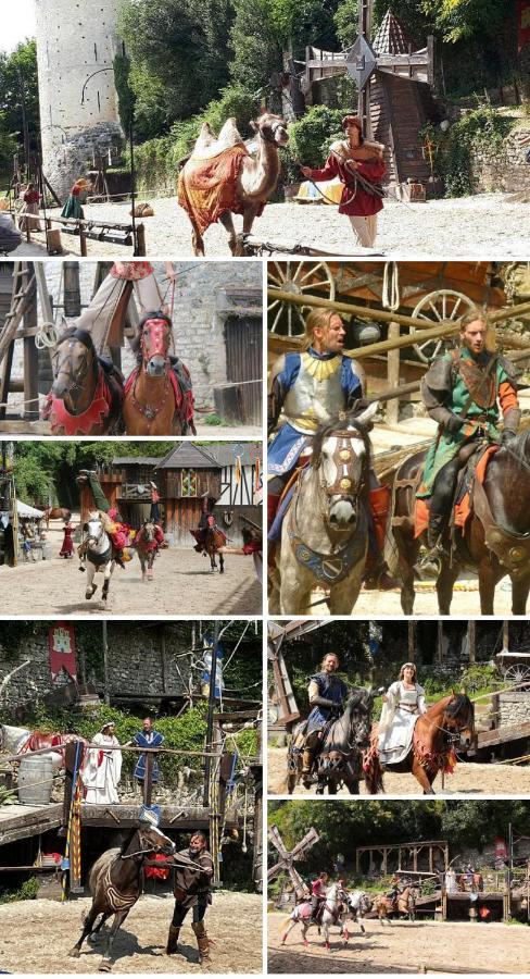 Harmonia Maison De Caractere Proche Provins Gouaix Εξωτερικό φωτογραφία