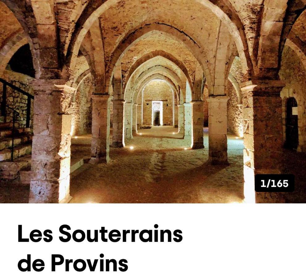Harmonia Maison De Caractere Proche Provins Gouaix Εξωτερικό φωτογραφία